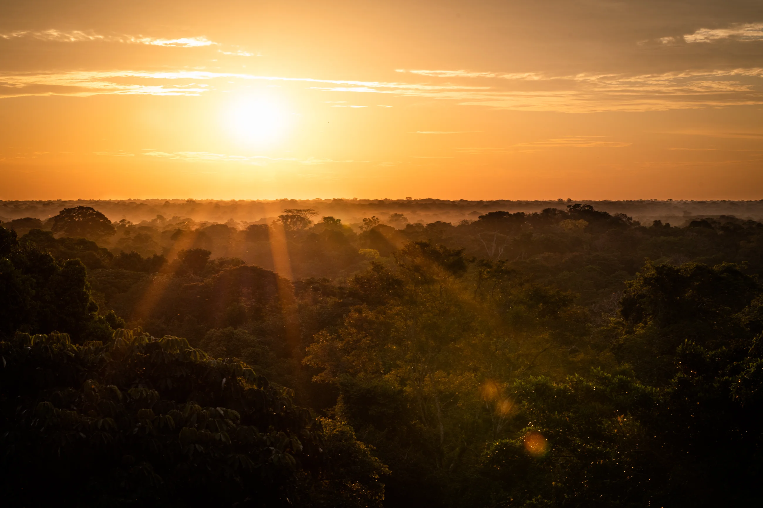 Sunset light above a broad expanse of Amazonian forest.