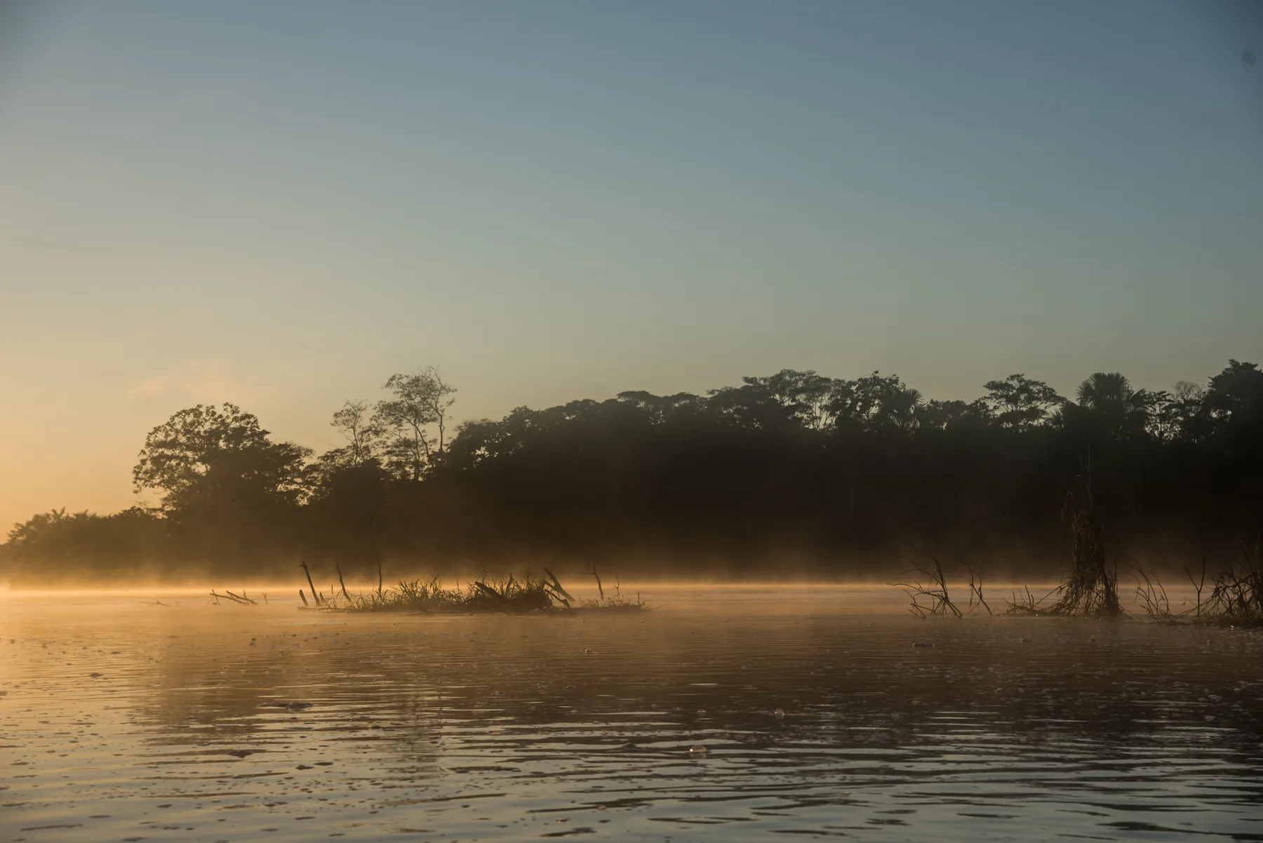 A forested river in the Peruvian Amazon at sunrise.